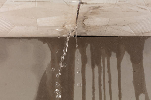 Professional Water Extraction technician working in Saint Leo, FL